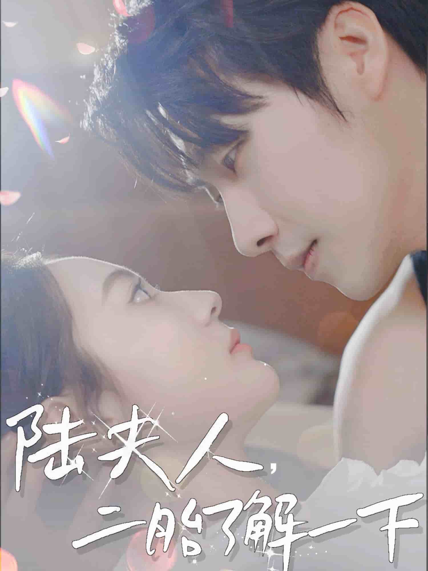 陆夫人，二胎了解一下