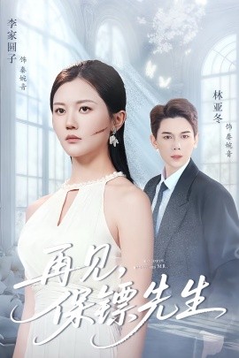 再见，保镖先生 保镖先生我不要你了