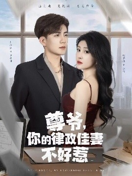 尊爷你的律政娇妻不好惹